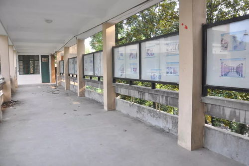 福建师大附中 不悔入附中,只恨太匆匆
