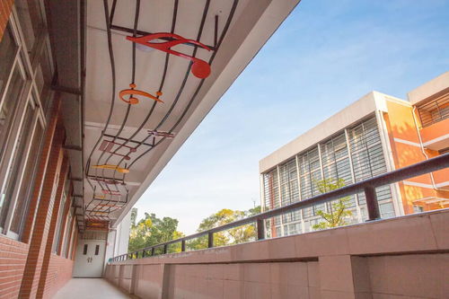 福建师大附中 不悔入附中,只恨太匆匆